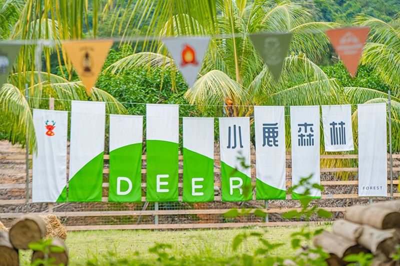 豪门国际官网-追求康健,你我一起生长