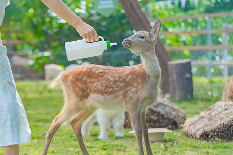 豪门国际官网-追求康健,你我一起生长