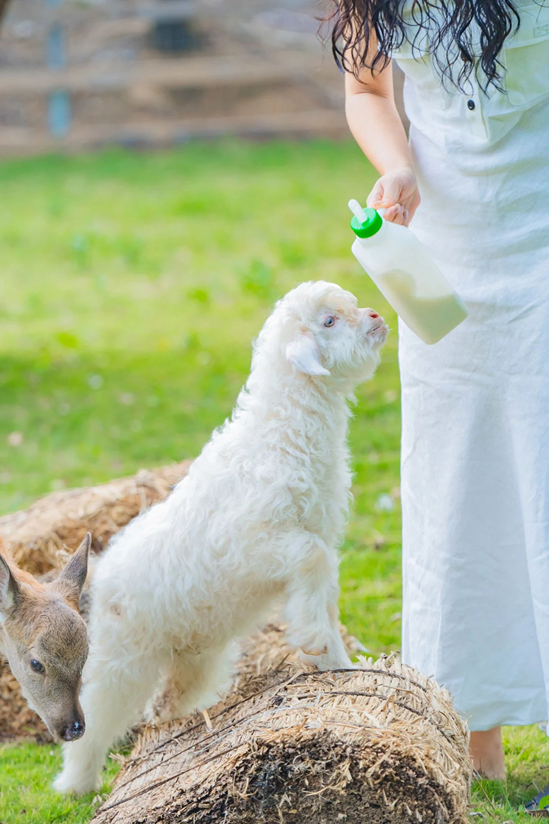 豪门国际官网-追求康健,你我一起生长