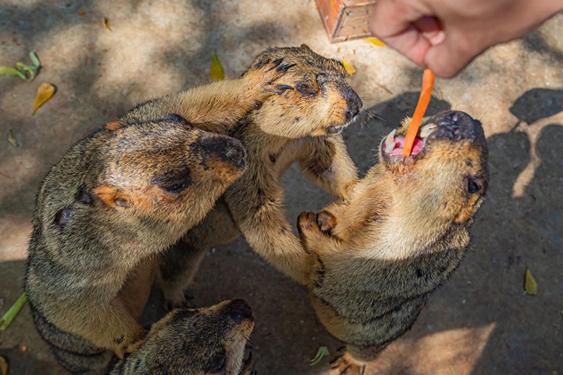 豪门国际官网-追求康健,你我一起生长