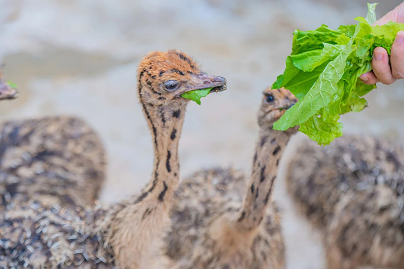 豪门国际官网-追求康健,你我一起生长