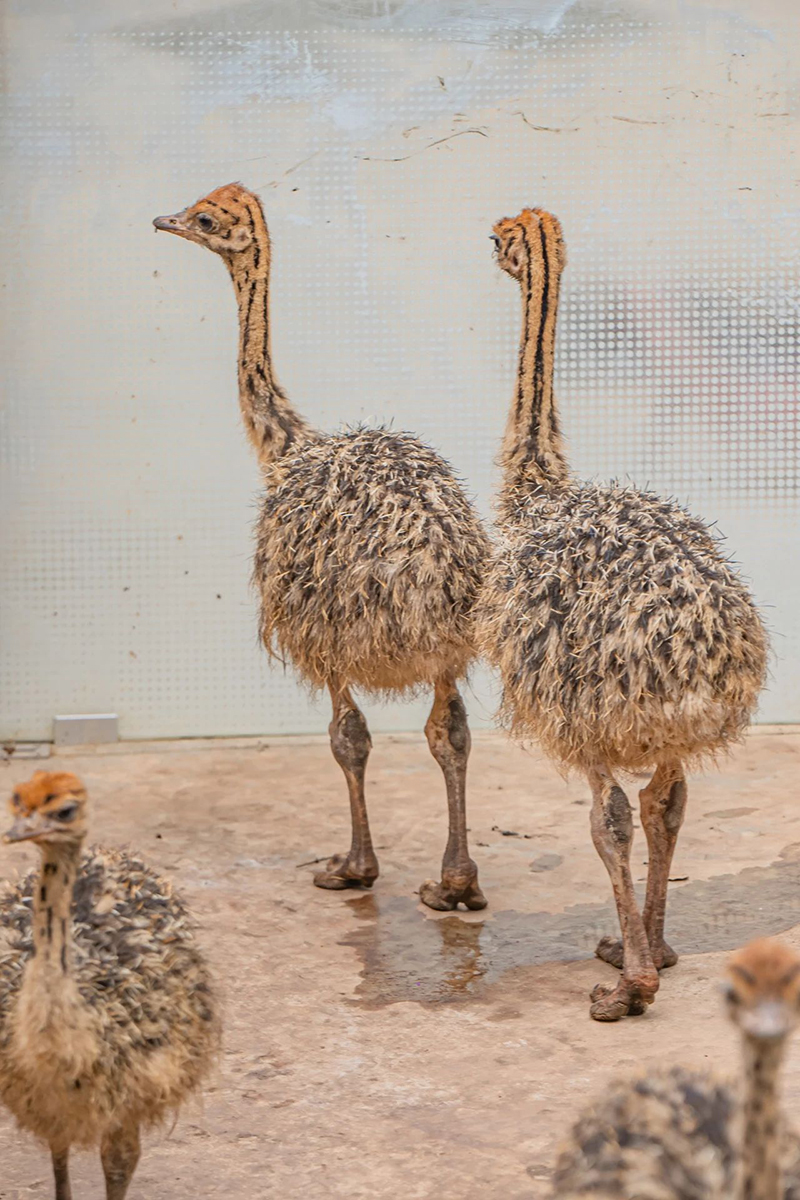 豪门国际官网-追求康健,你我一起生长