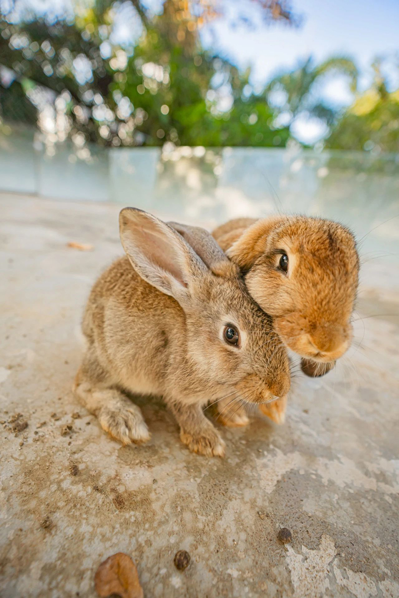 豪门国际官网-追求康健,你我一起生长
