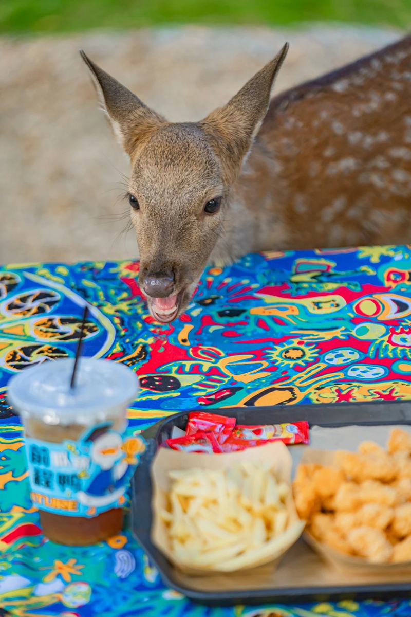 豪门国际官网-追求康健,你我一起生长