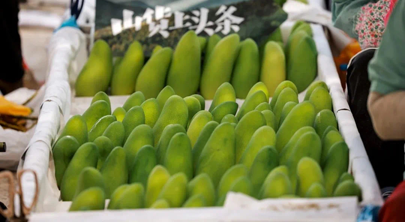 豪门国际官网-追求康健,你我一起生长