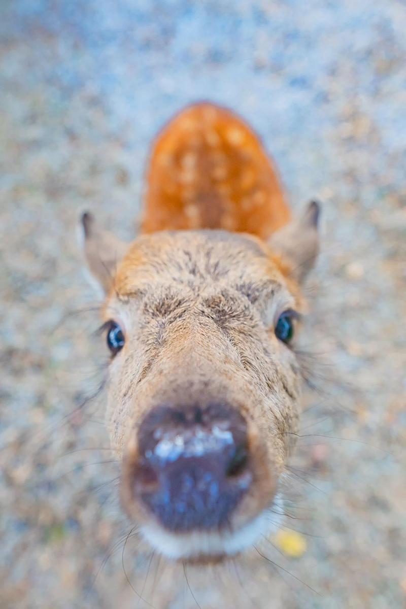 豪门国际官网-追求康健,你我一起生长