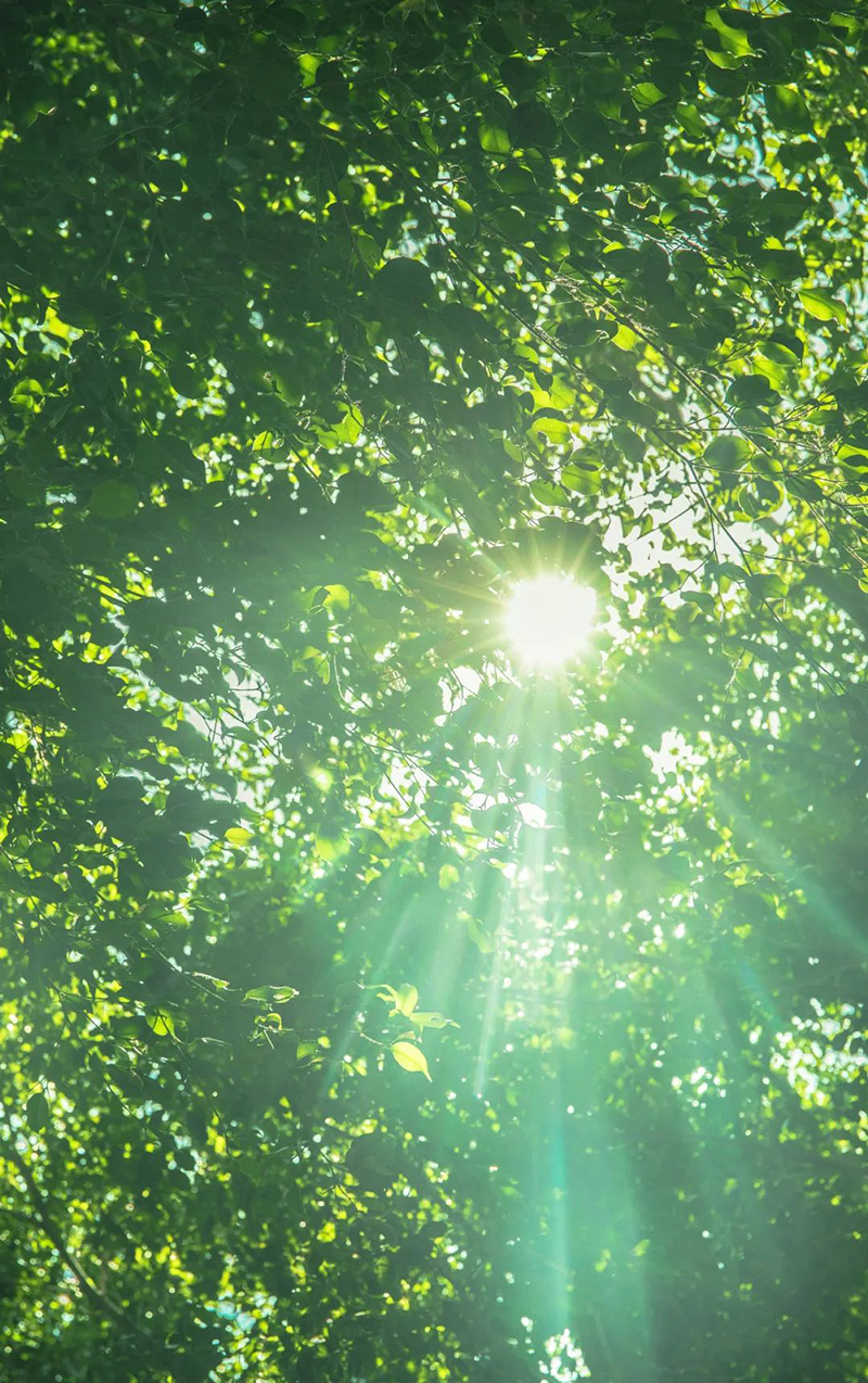 豪门国际官网-追求康健,你我一起生长