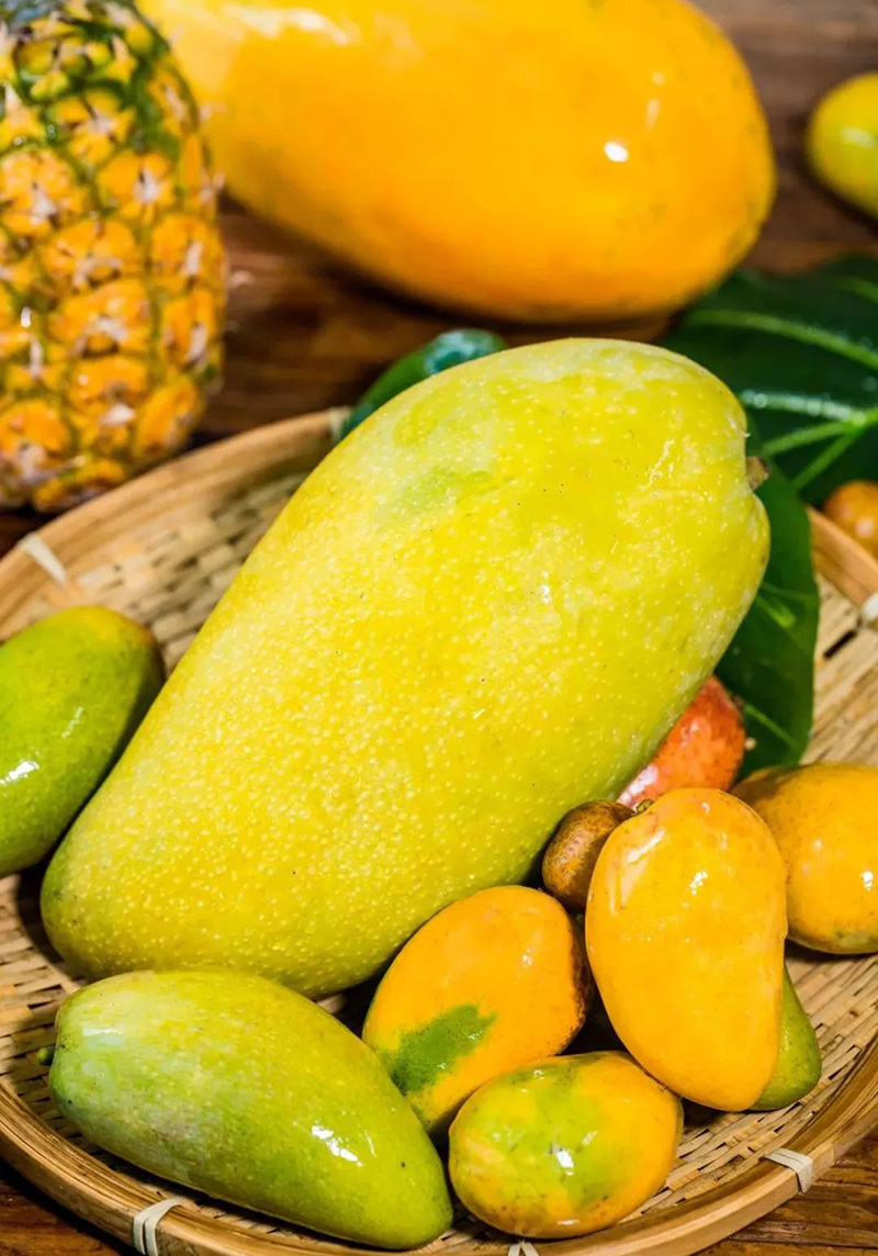 豪门国际官网-追求康健,你我一起生长