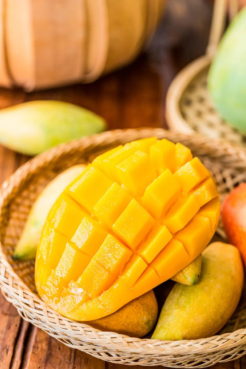 豪门国际官网-追求康健,你我一起生长