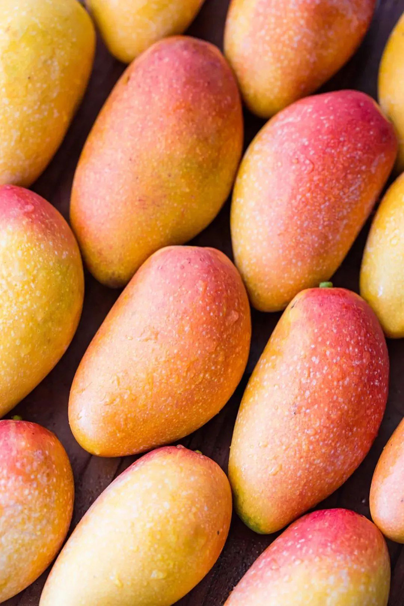 豪门国际官网-追求康健,你我一起生长