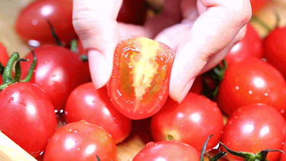 豪门国际官网-追求康健,你我一起生长