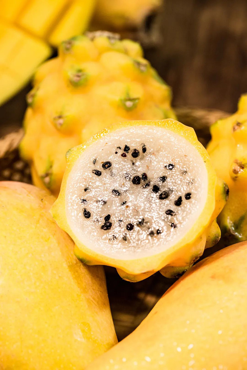 豪门国际官网-追求康健,你我一起生长