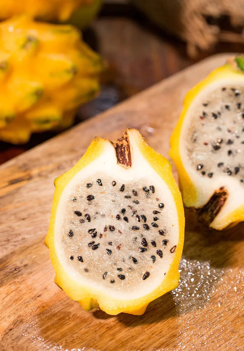 豪门国际官网-追求康健,你我一起生长