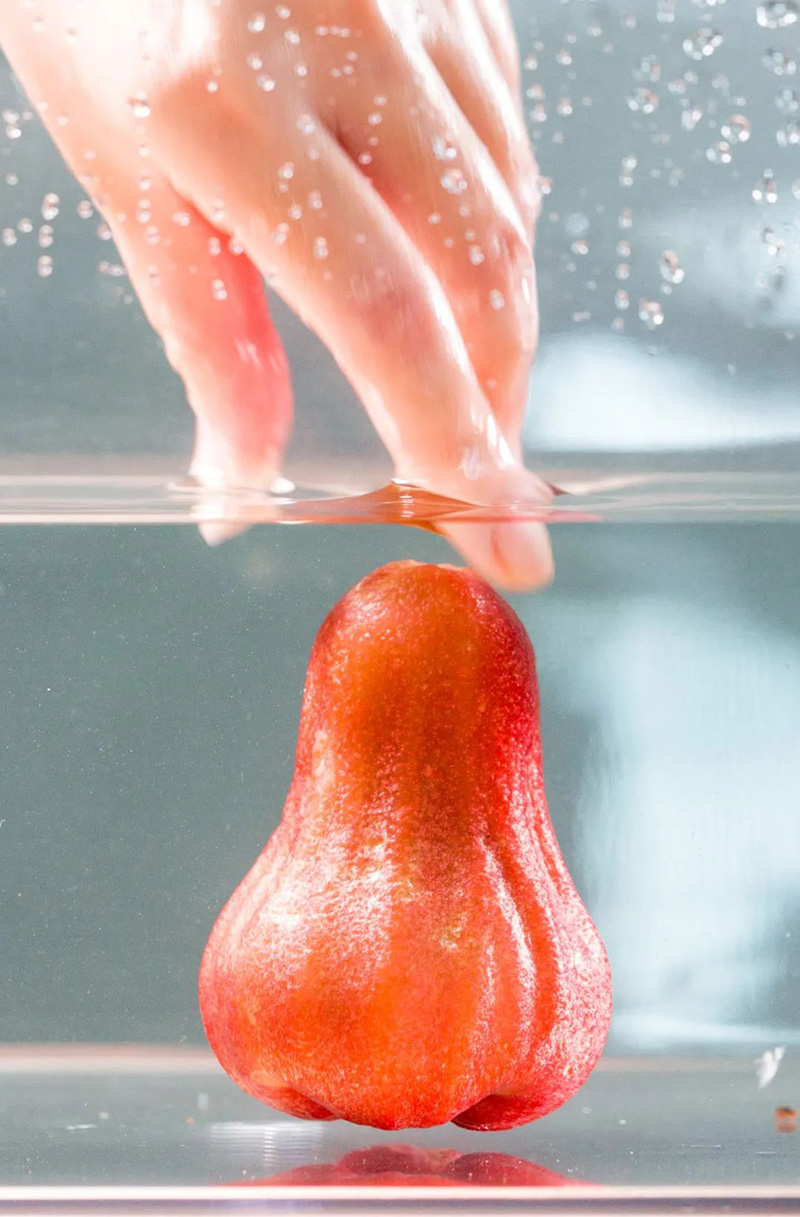 豪门国际官网-追求康健,你我一起生长