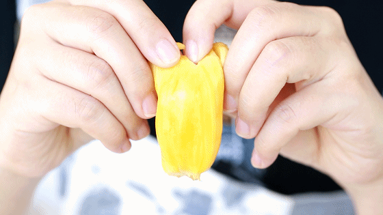 豪门国际官网-追求康健,你我一起生长