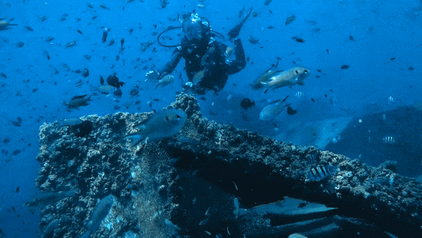 豪门国际官网-追求康健,你我一起生长