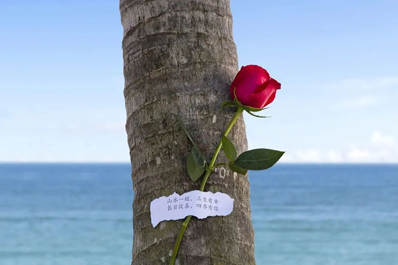 豪门国际官网-追求康健,你我一起生长