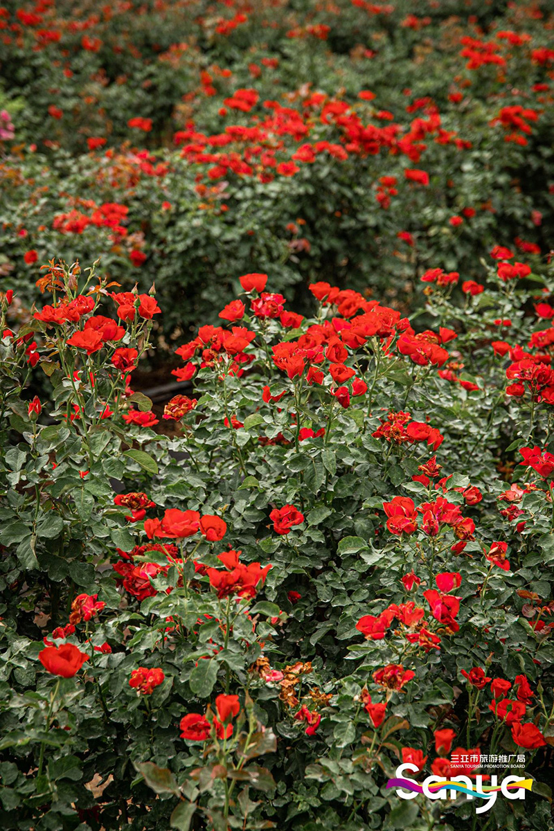 豪门国际官网-追求康健,你我一起生长