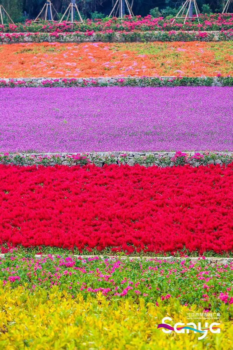 豪门国际官网-追求康健,你我一起生长