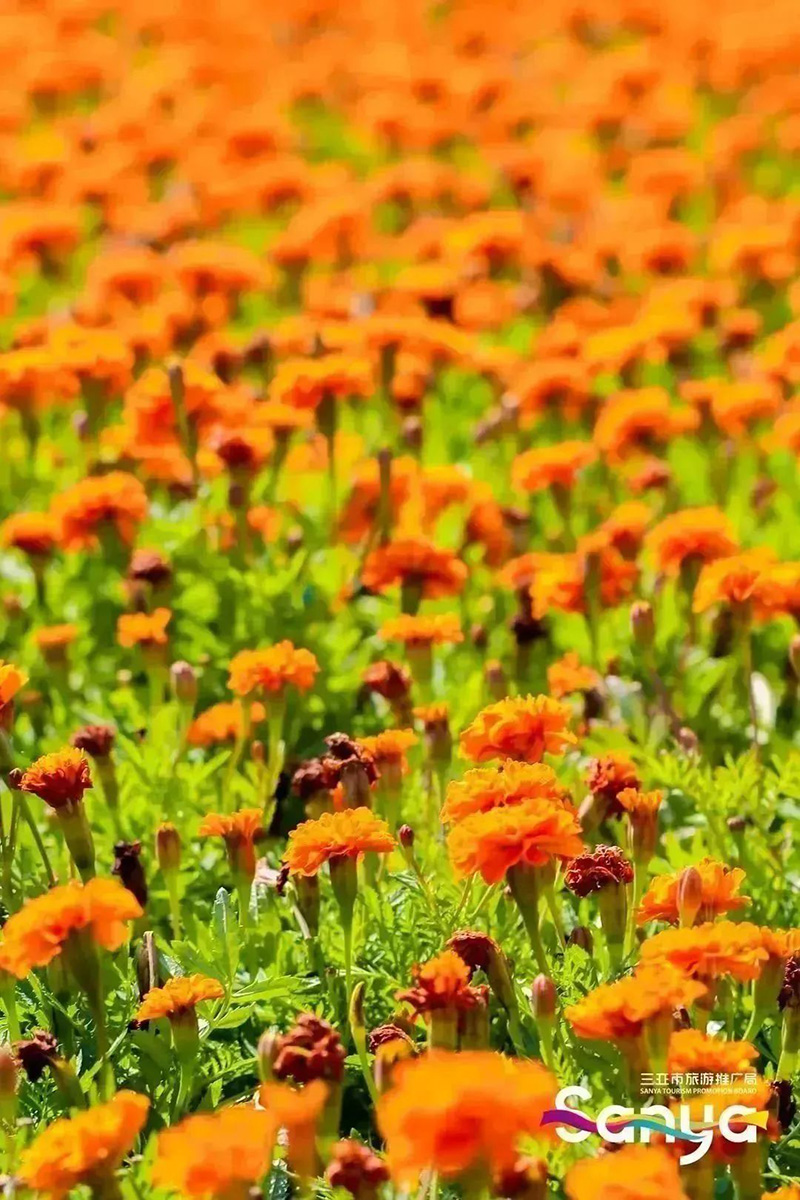 豪门国际官网-追求康健,你我一起生长