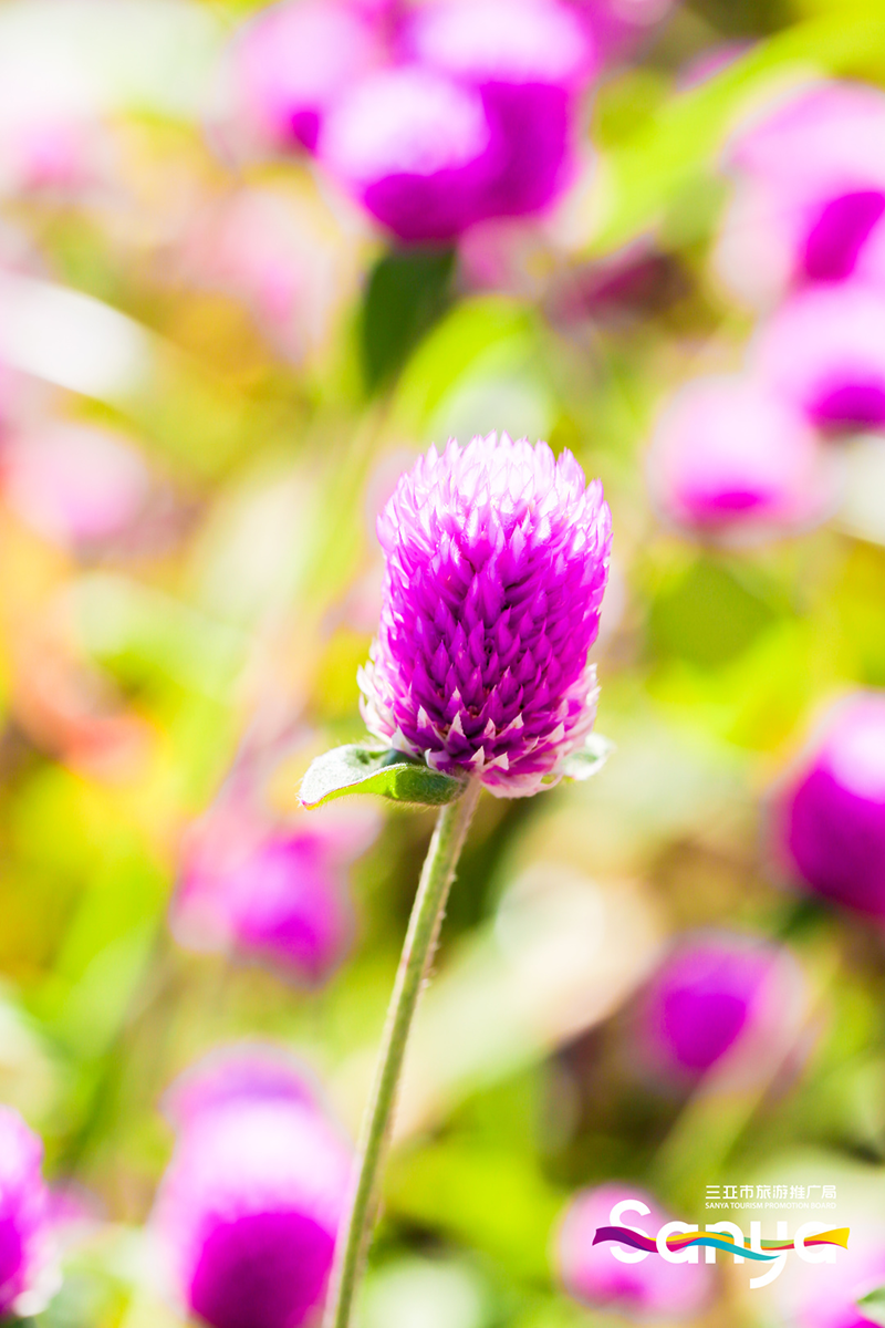 豪门国际官网-追求康健,你我一起生长