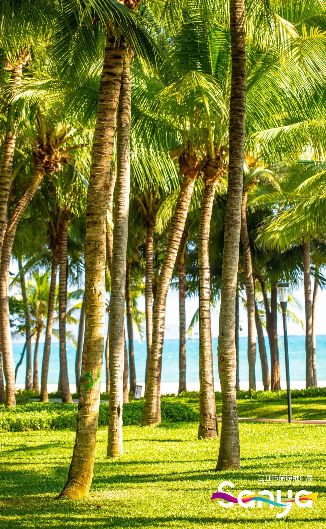 豪门国际官网-追求康健,你我一起生长