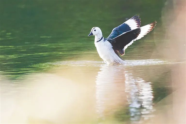 豪门国际官网-追求康健,你我一起生长