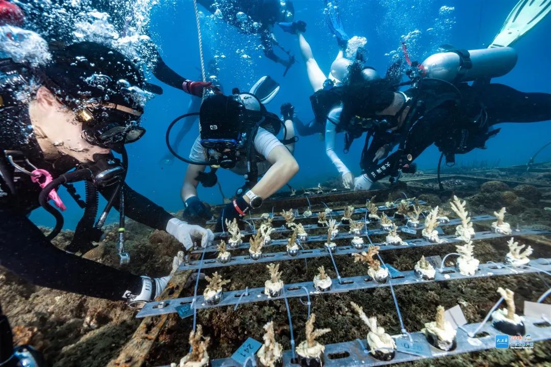 豪门国际官网-追求康健,你我一起生长