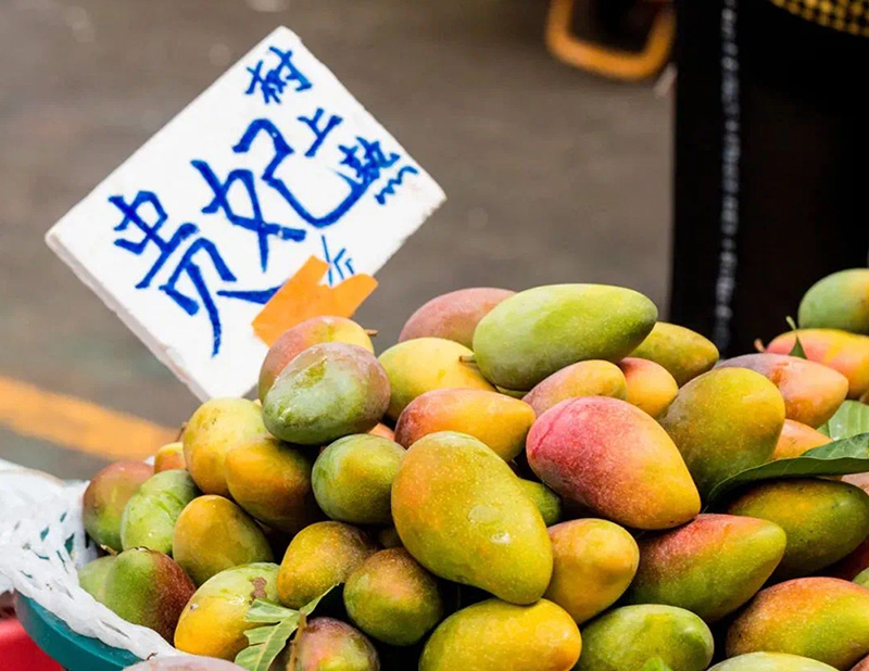 豪门国际官网-追求康健,你我一起生长