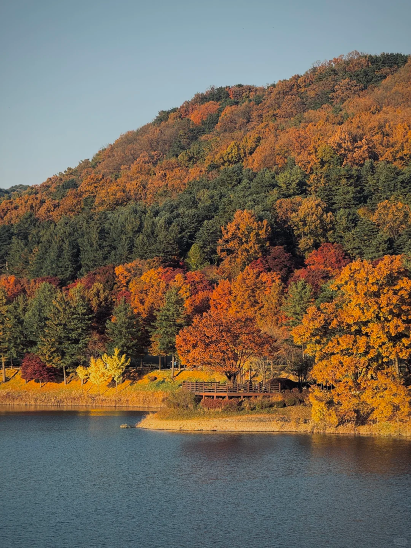 豪门国际官网-追求康健,你我一起生长