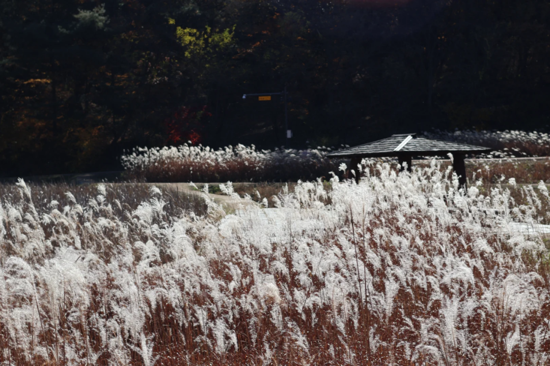 豪门国际官网-追求康健,你我一起生长