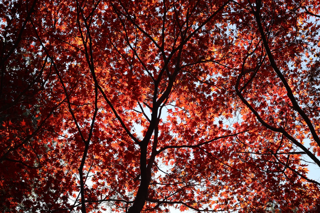 豪门国际官网-追求康健,你我一起生长