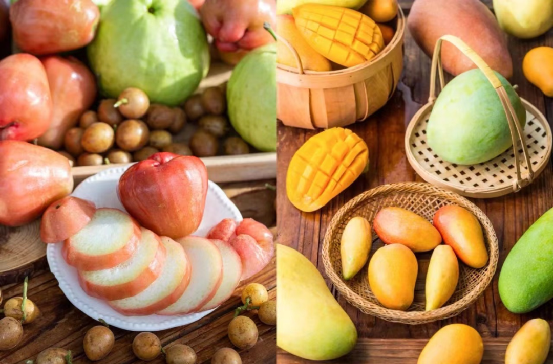 豪门国际官网-追求康健,你我一起生长