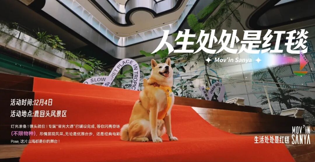 豪门国际官网-追求康健,你我一起生长