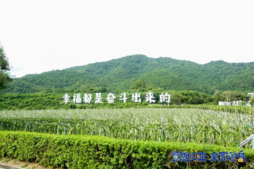 微信图片_20210906154221.jpg