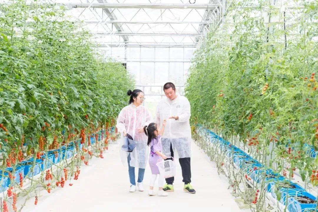 微信图片_20210906154233.jpg
